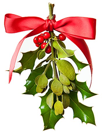 Mistletoe