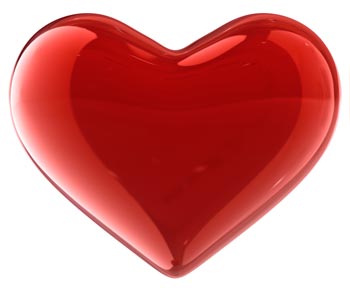 Heart