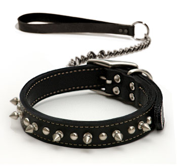 Slave Collar