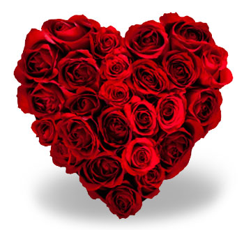 Heart of Roses