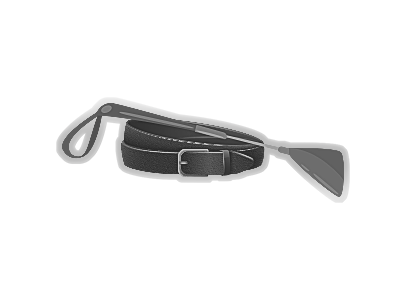 Whip With Belt