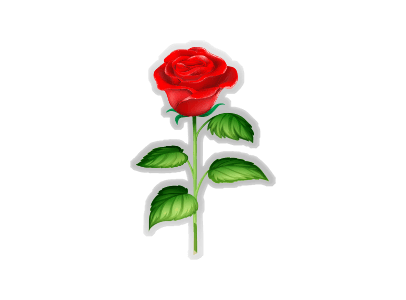 Red Rose