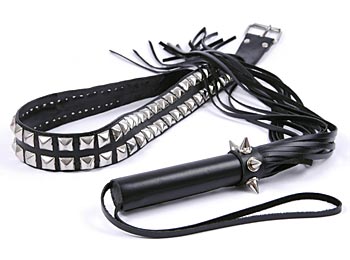 Whip with Belt