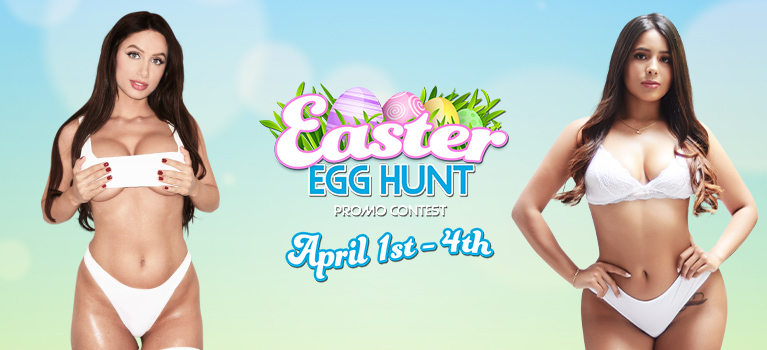 Contest Header Displaying Models