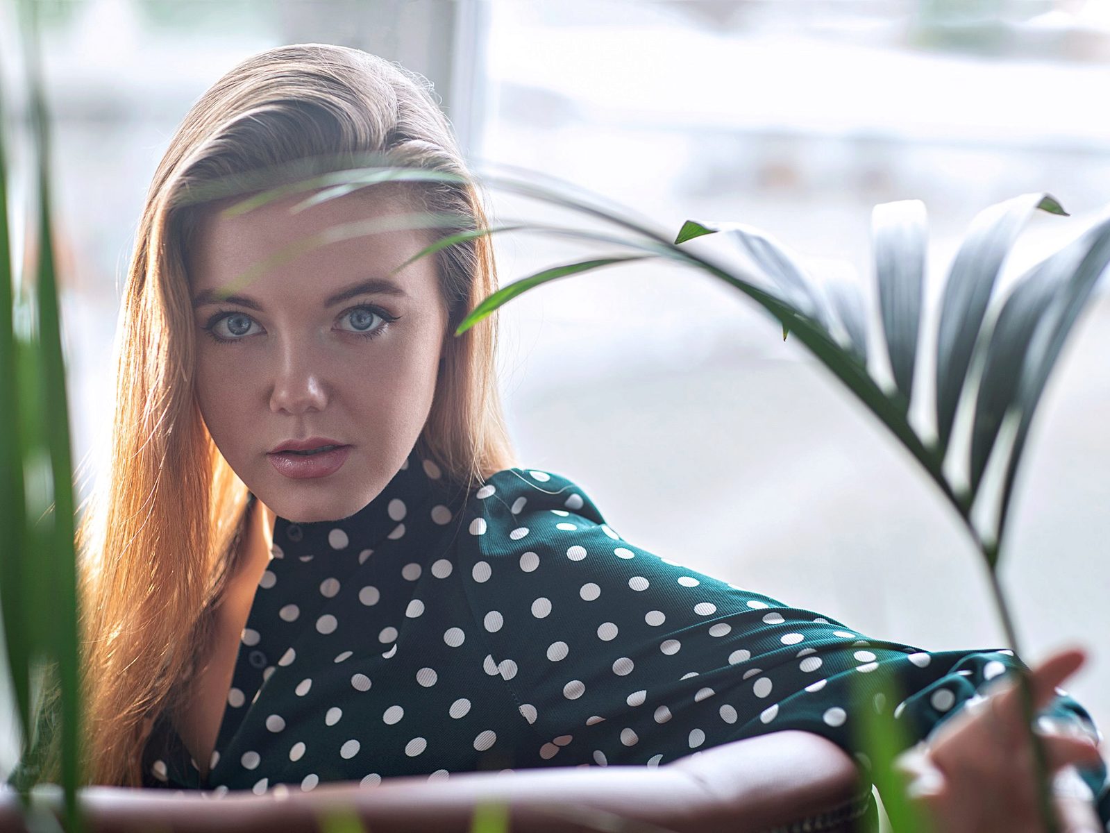 Clementine Ch high quality