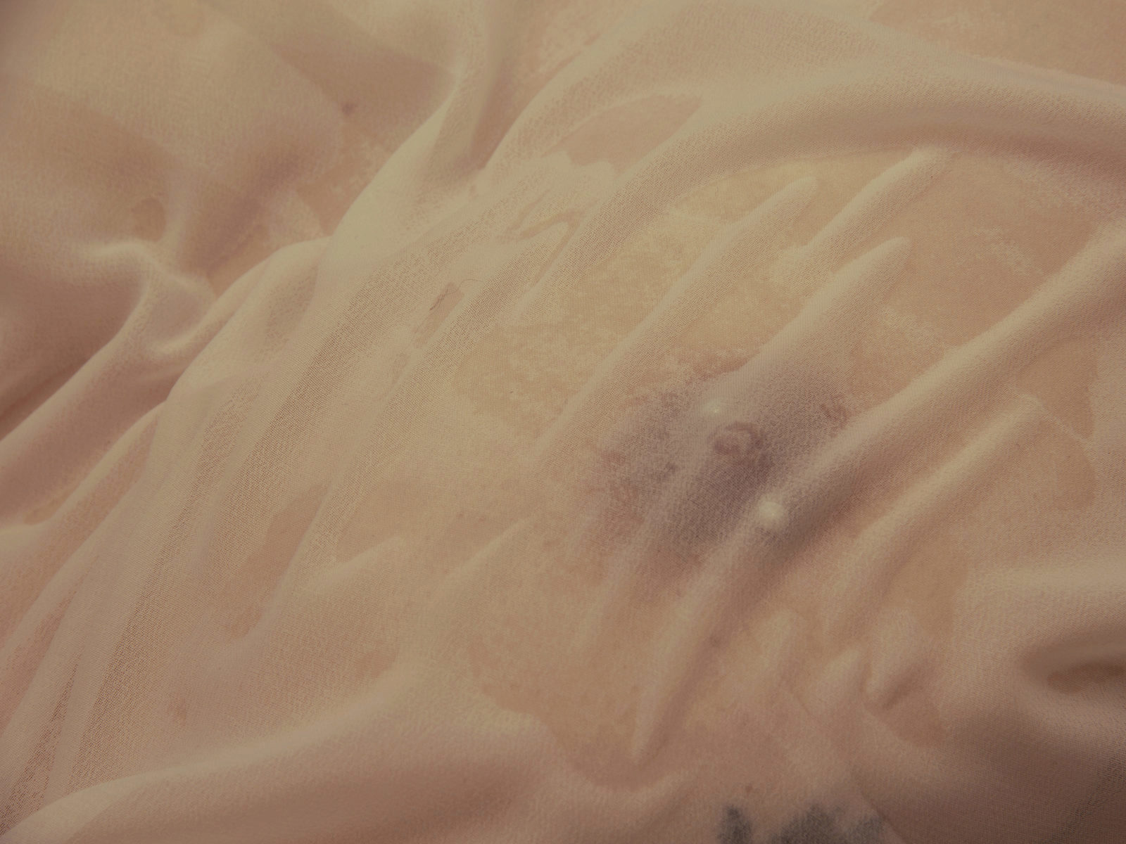 Melannie Puerta socks