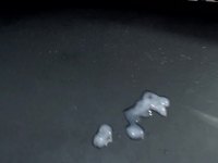 James Kuz Private Webcam Show